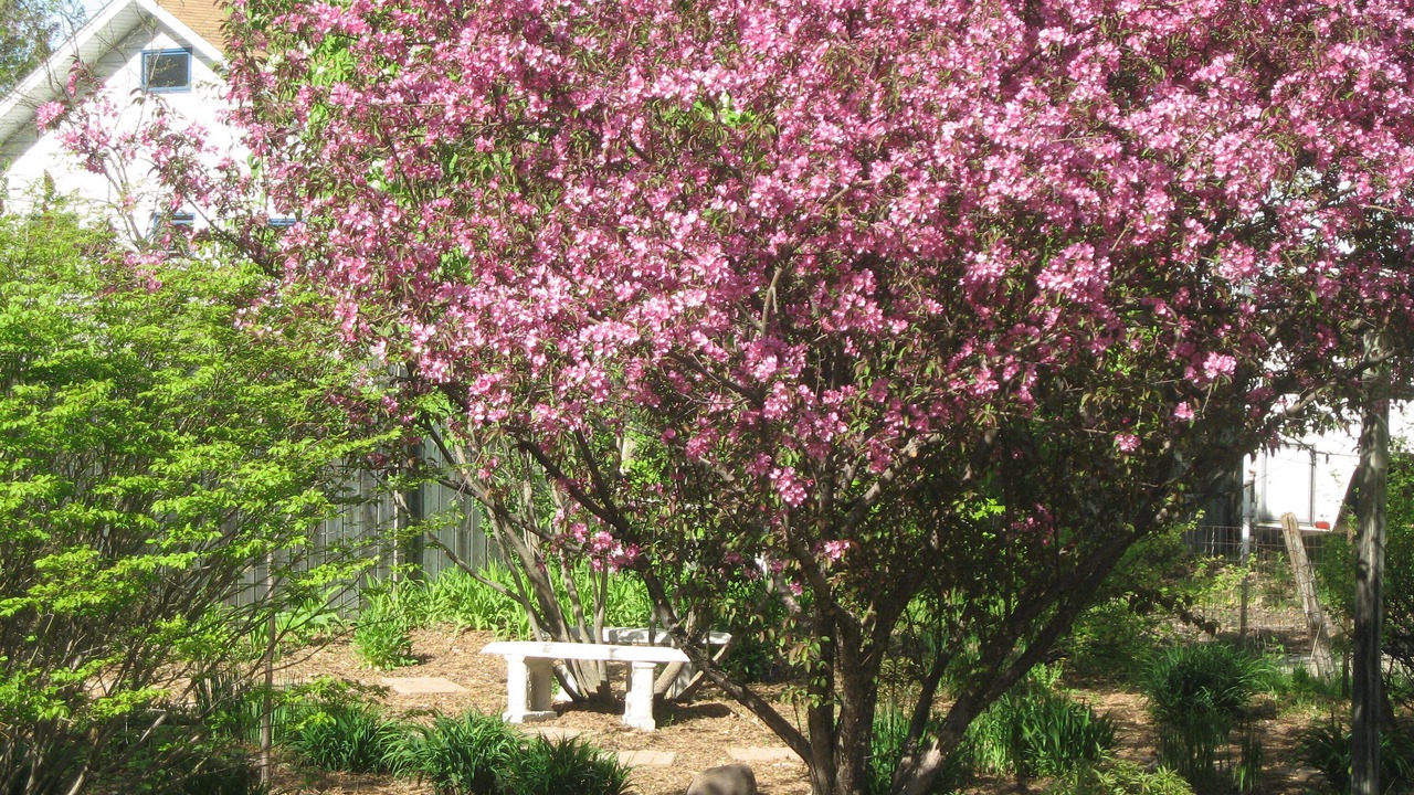 Photo of Outdoor in Forest Lake