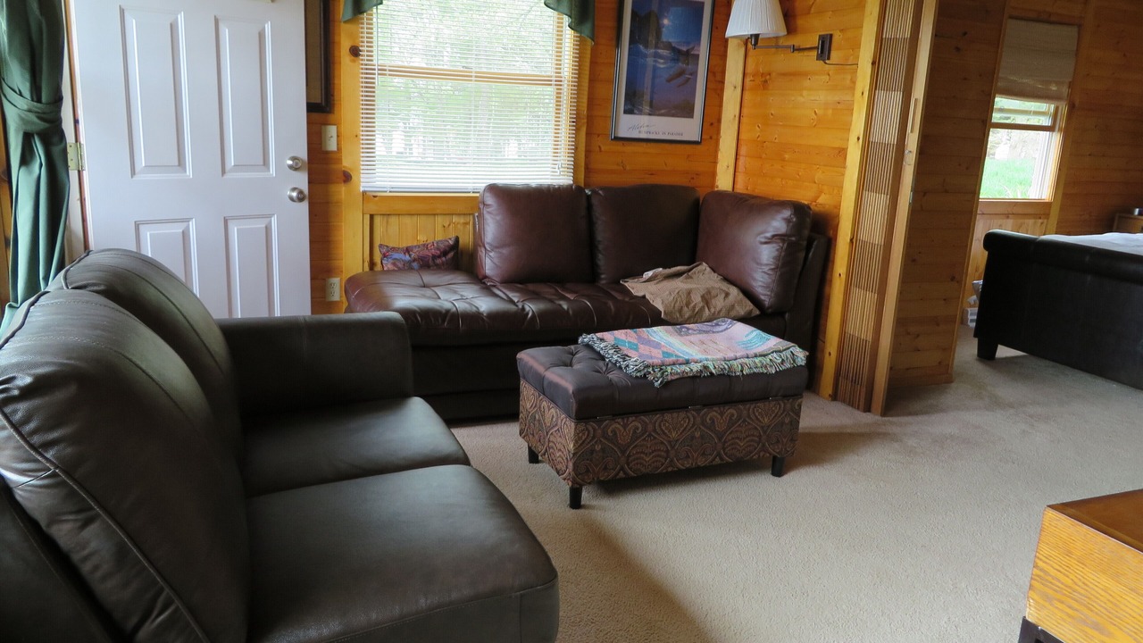 Photo of Livingroom in Annandale