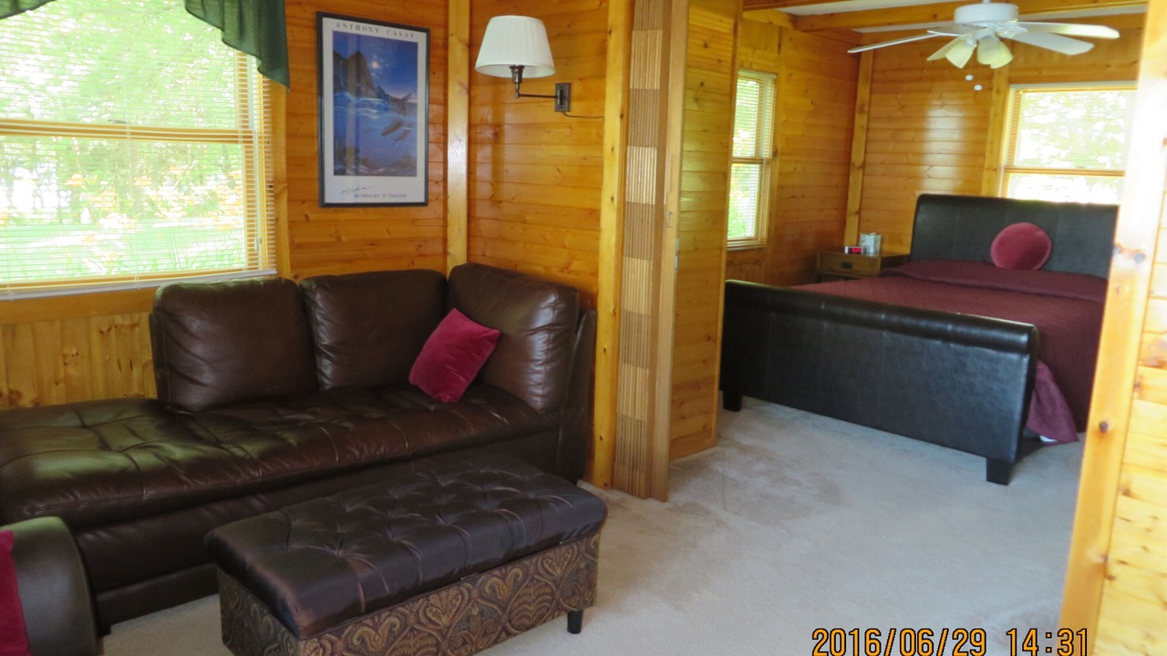 Photo of Livingroom in Annandale