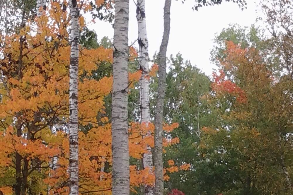 Photo of Outdoor in Park Rapids