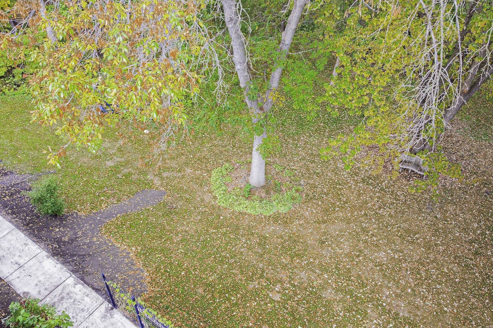 Photo of Outdoor in Stillwater