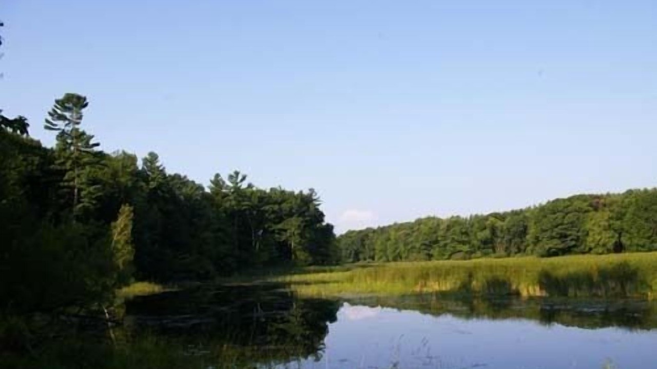 Photo of Outdoor in Milford