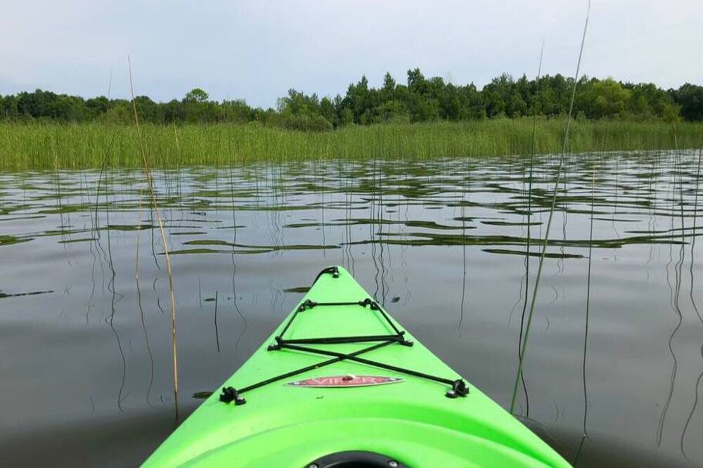 Photo of Others in Ham Lake