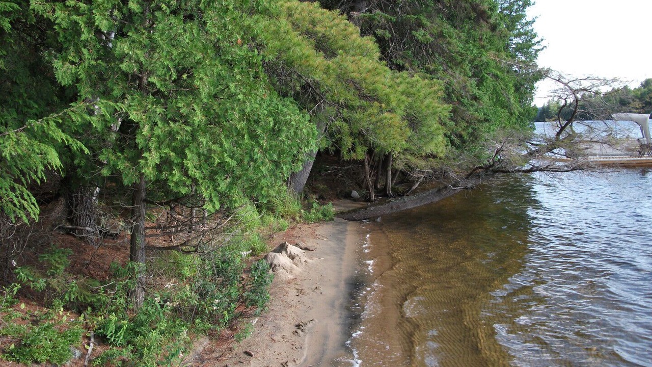 Photo of Others in Minden Hills