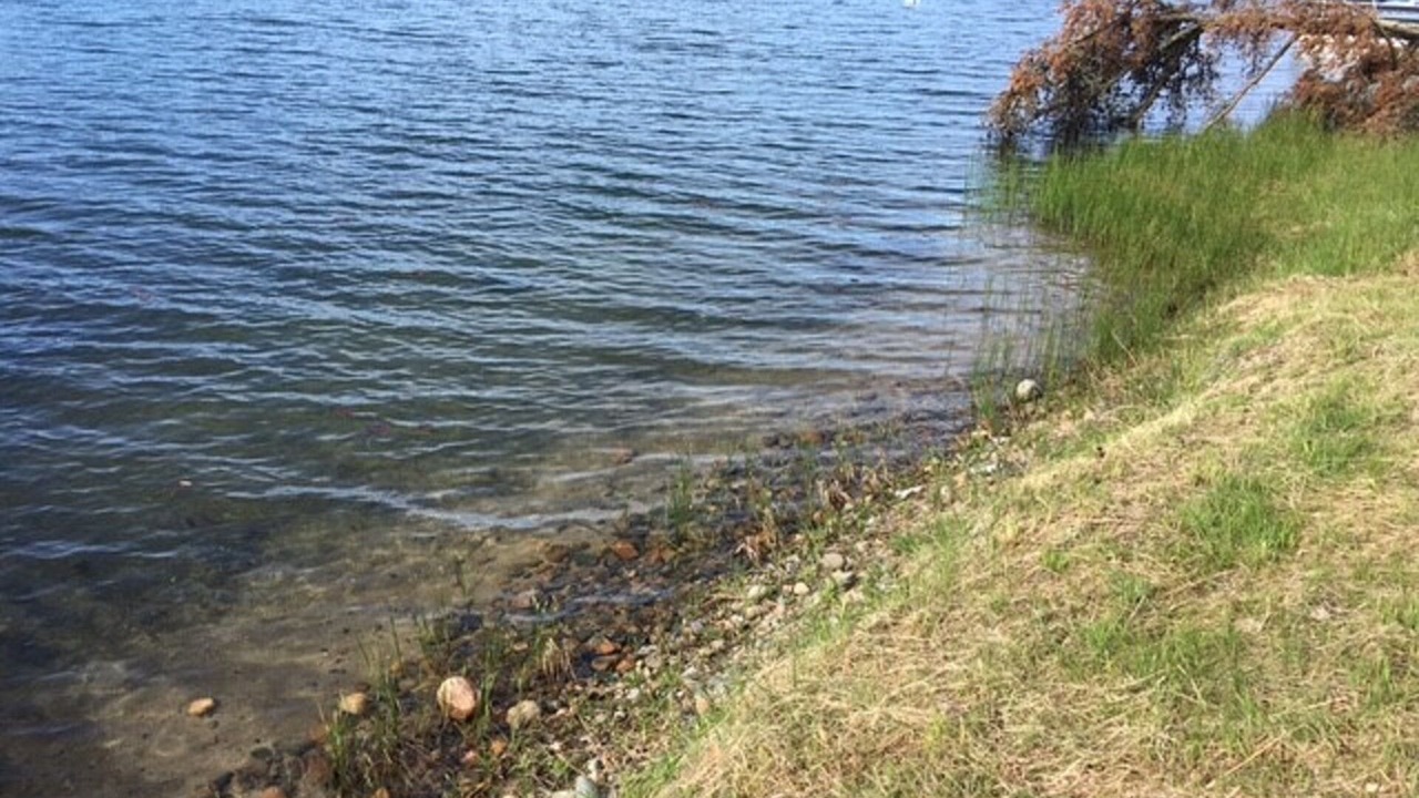 Photo of Others in Park Rapids