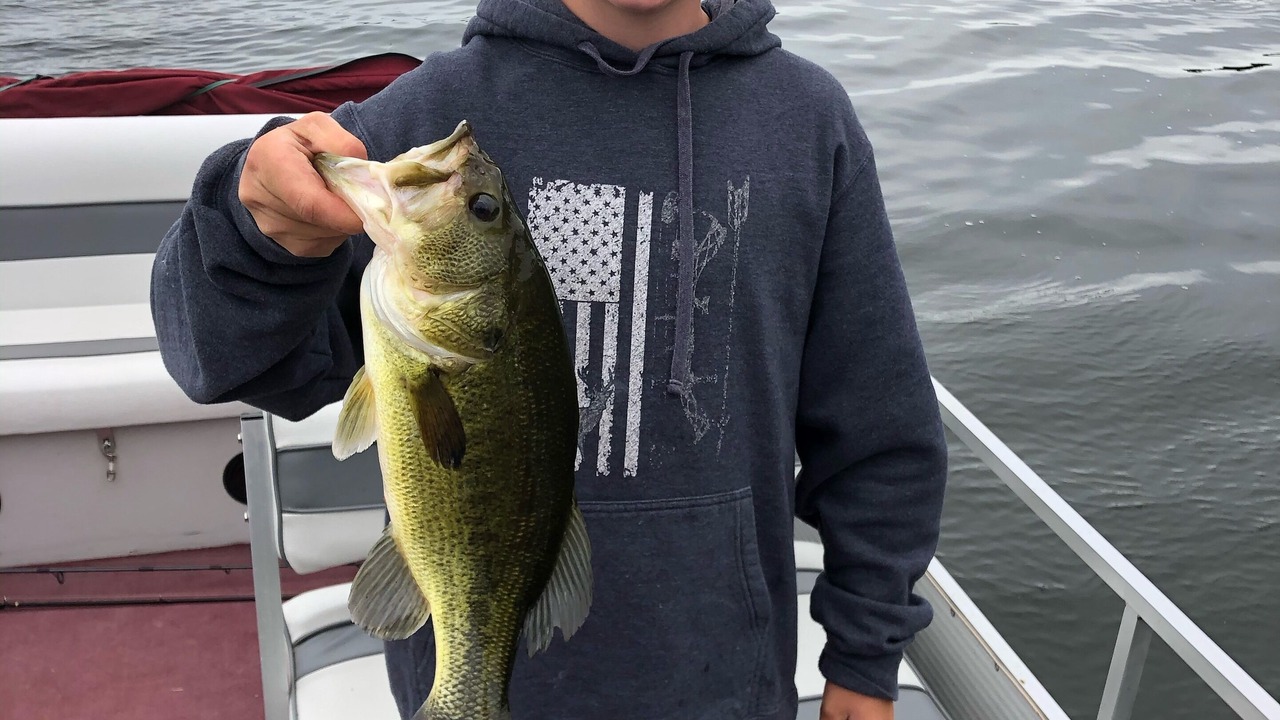 Photo of Others in Park Rapids