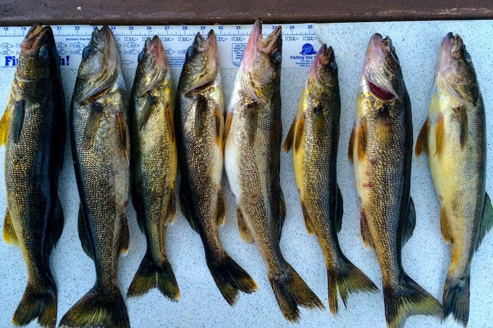 Photo of Others in Crane Lake