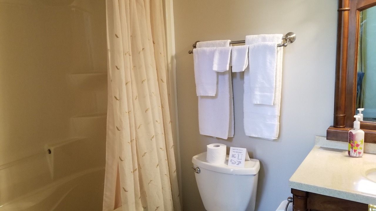 Photo of Bathroom in Lansdowne