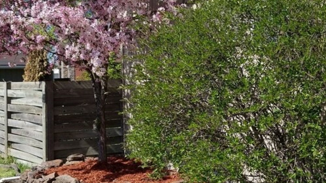 Photo of Outdoor in Virginia
