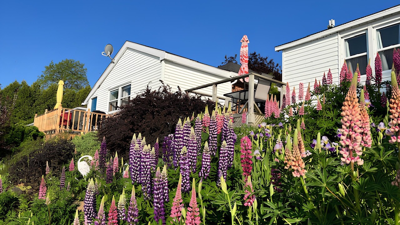 Photo of Outdoor in Augusta