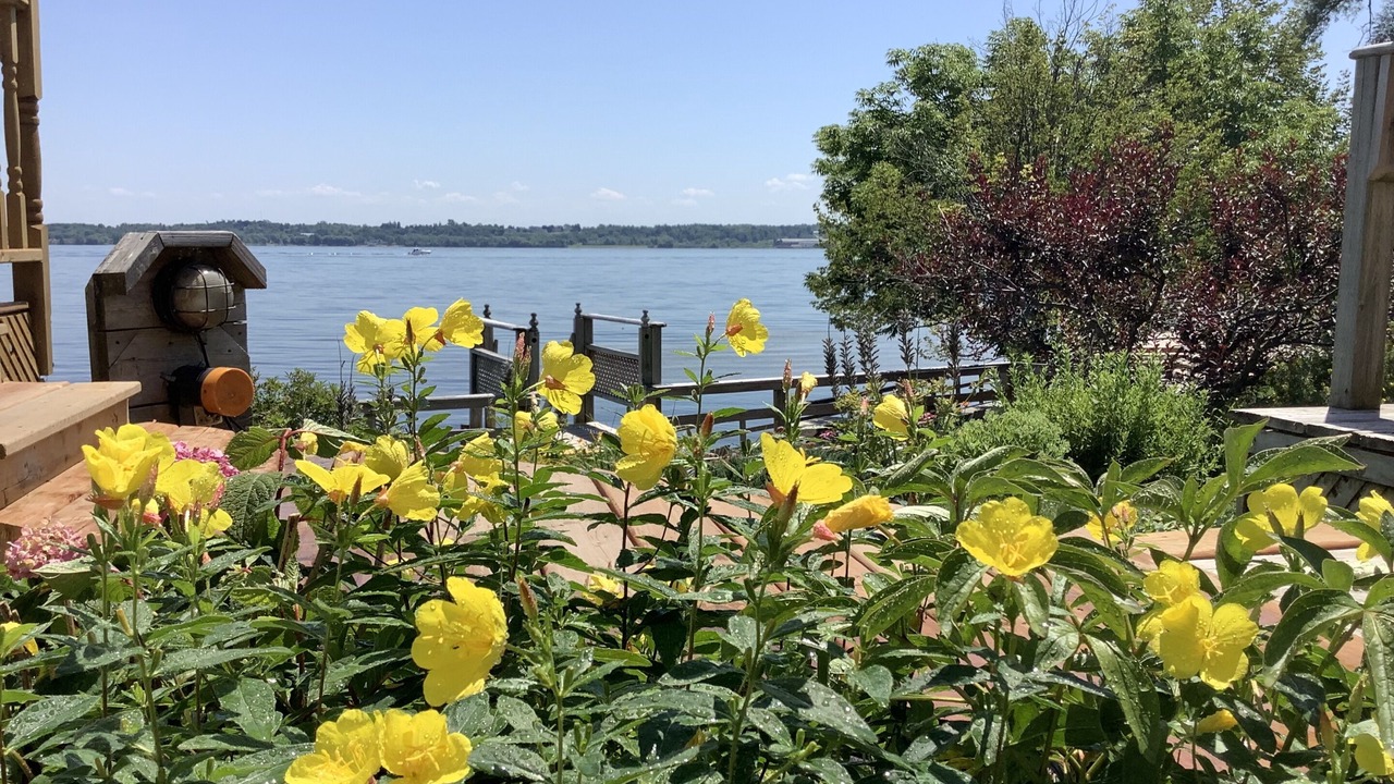 Photo of Outdoor in Augusta