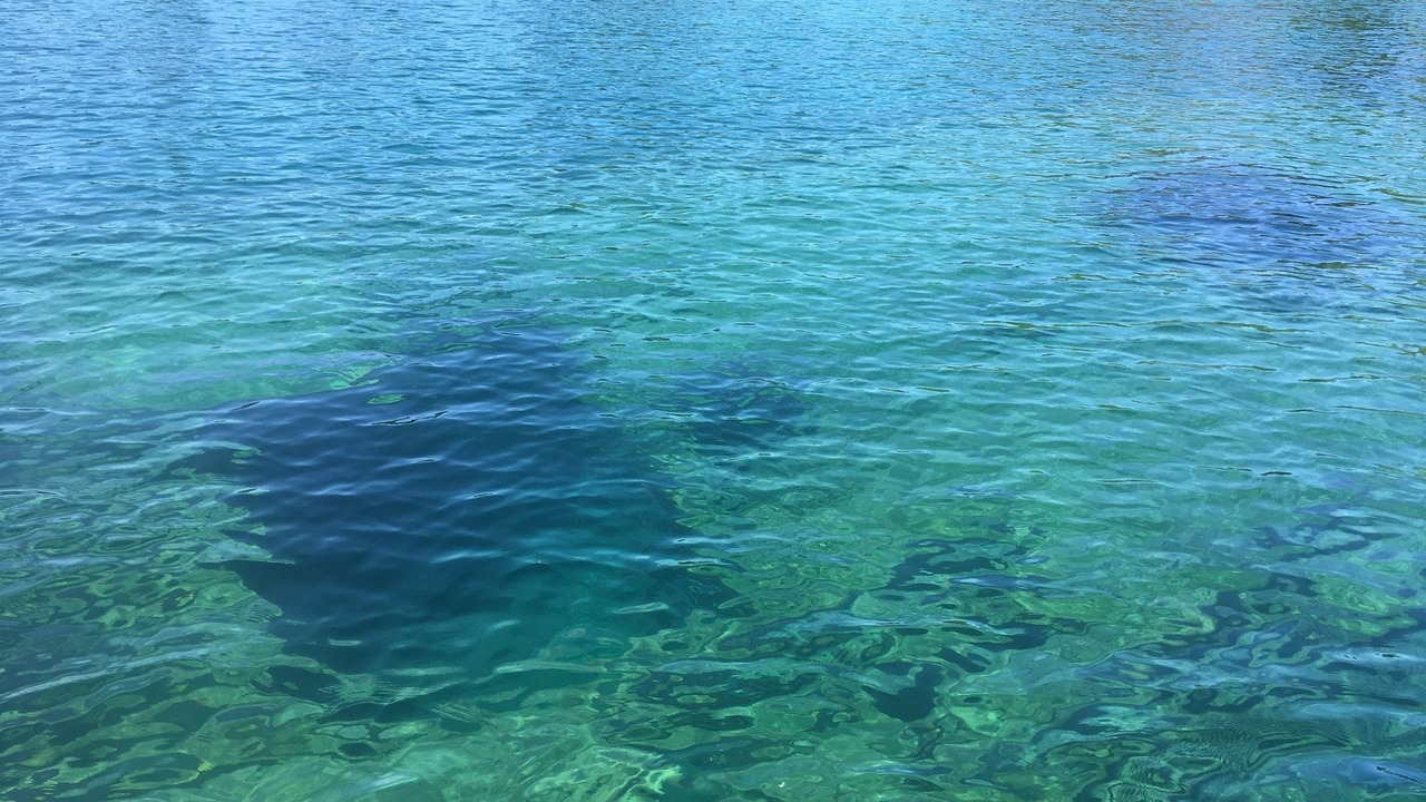 Photo of Others in Tobermory