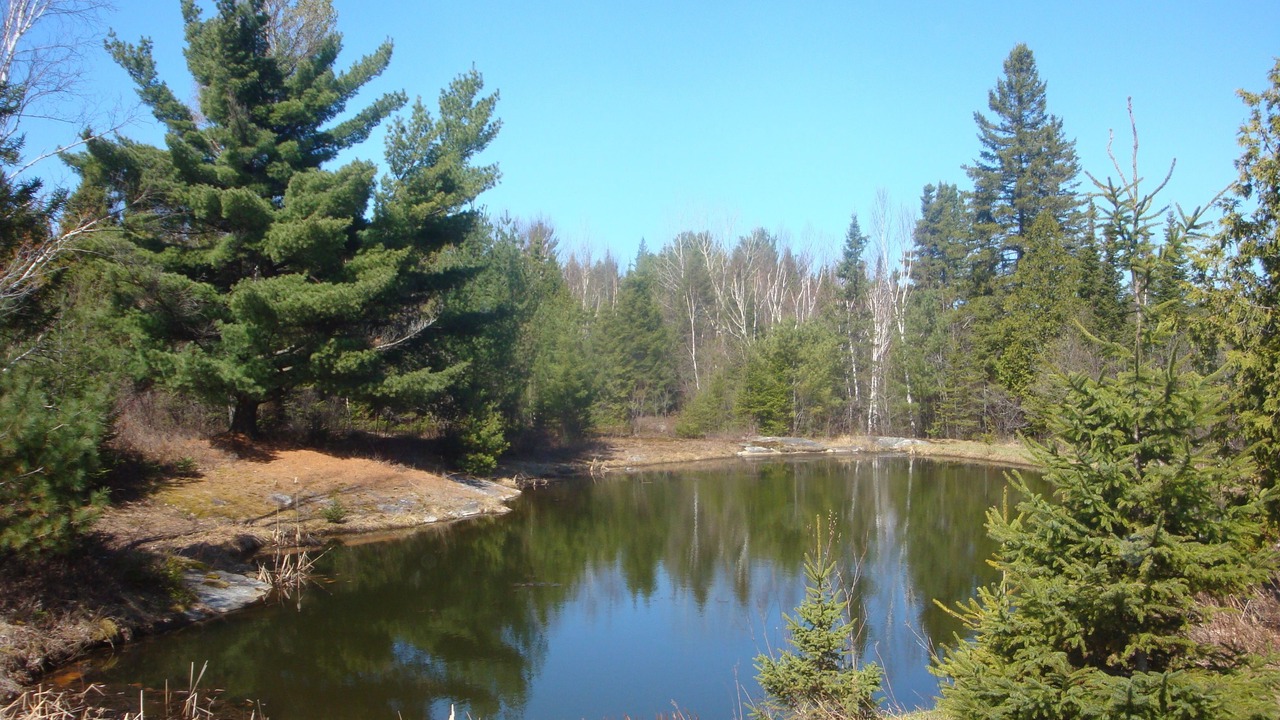 Photo of Outdoor in North Bay