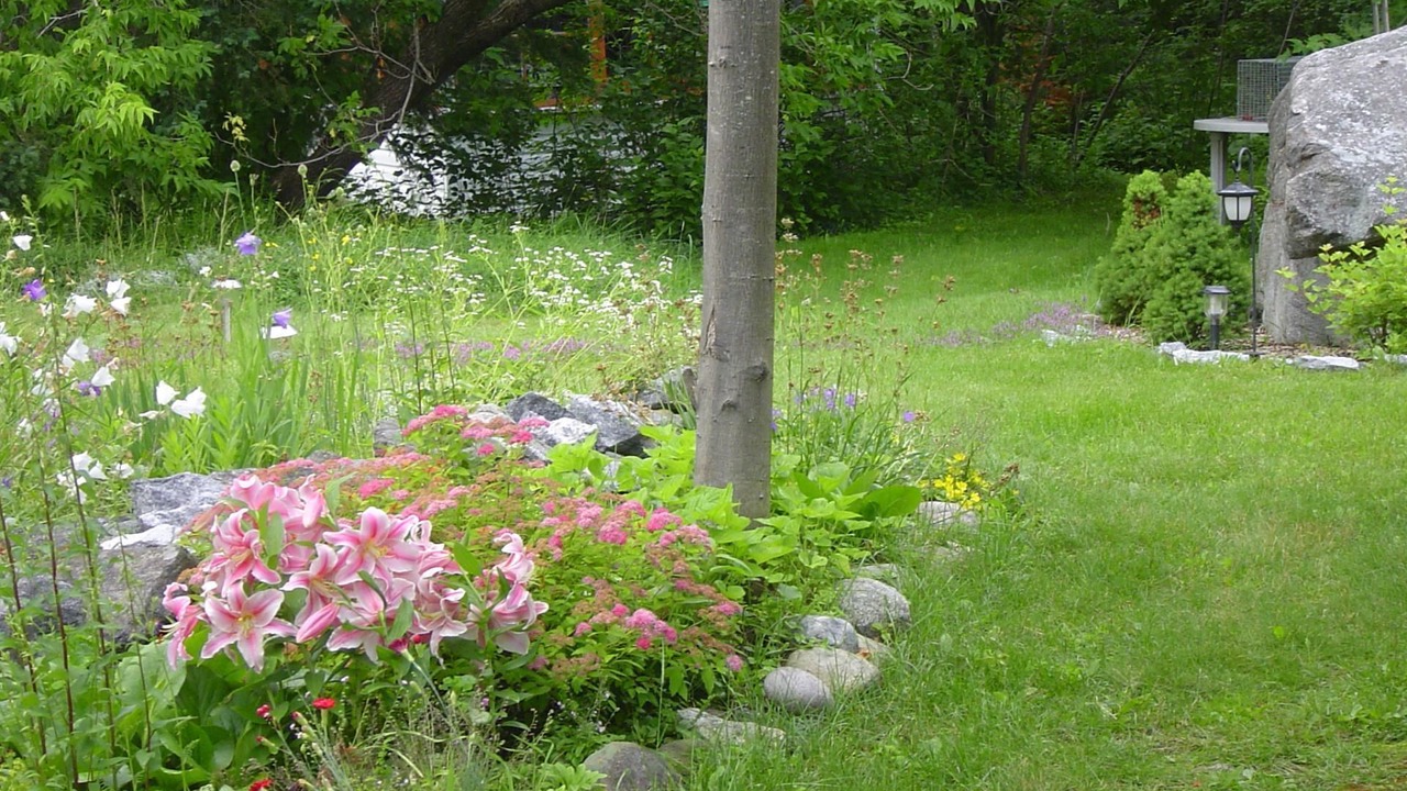 Photo of Outdoor in North Bay