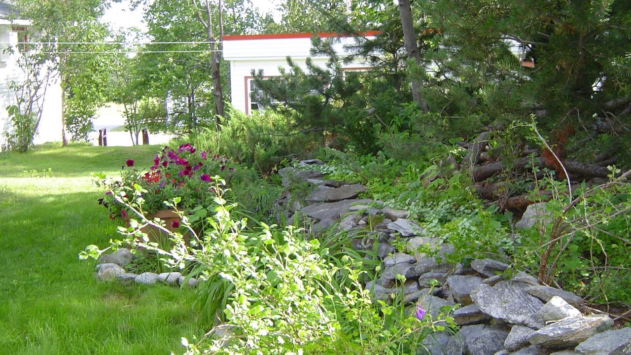 Photo of Outdoor in North Bay