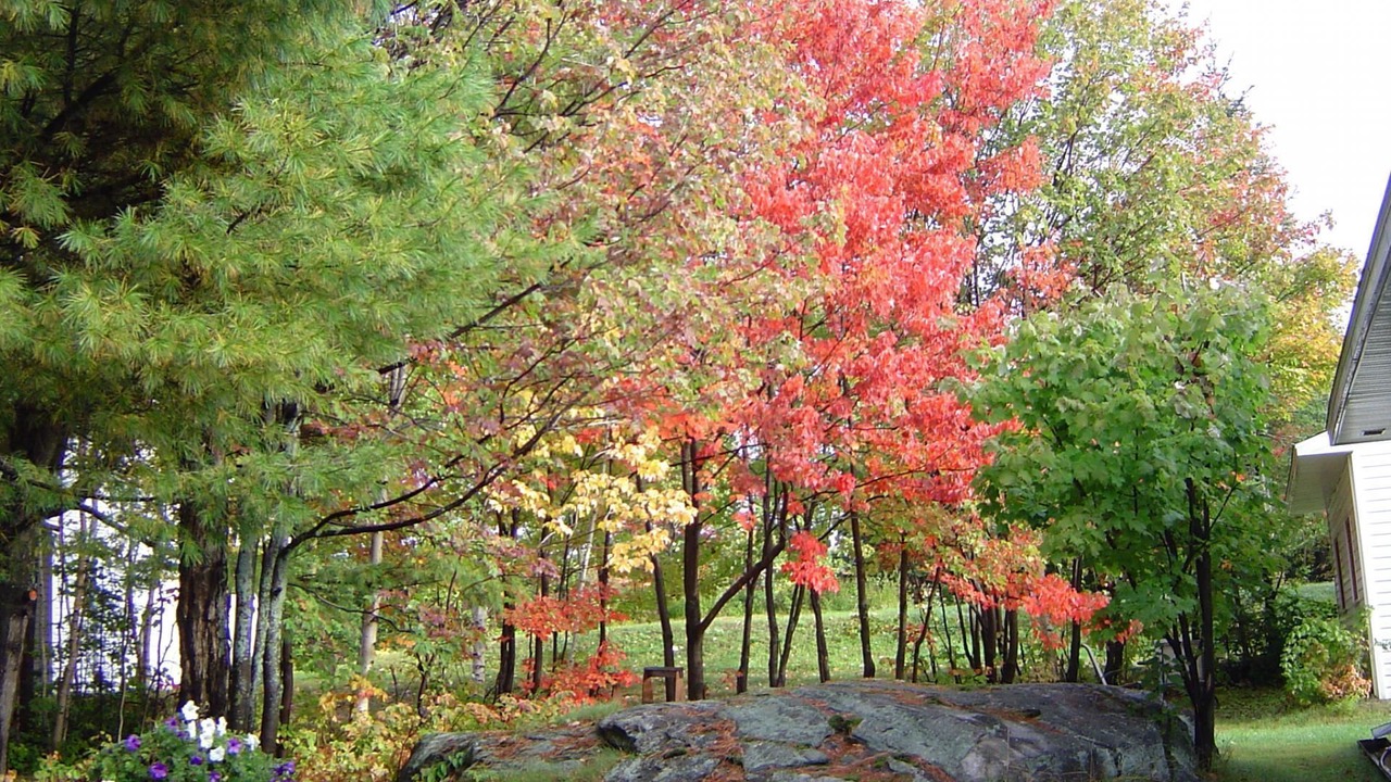 Photo of Outdoor in North Bay