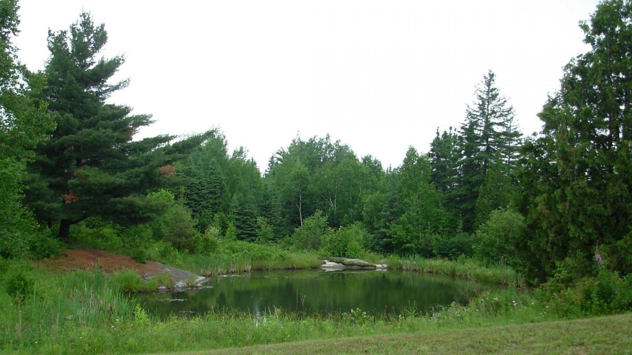 Photo of Outdoor in North Bay