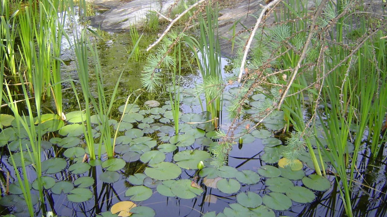 Photo of Outdoor in North Bay