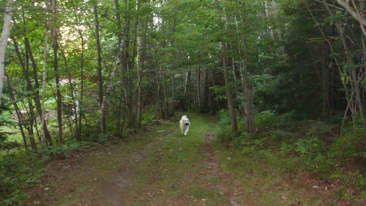 Photo of Outdoor in North Bay