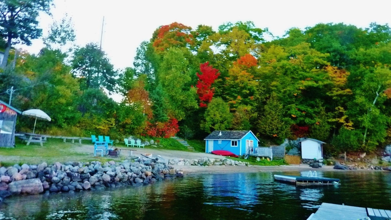 Photo of Outdoor in Harcourt