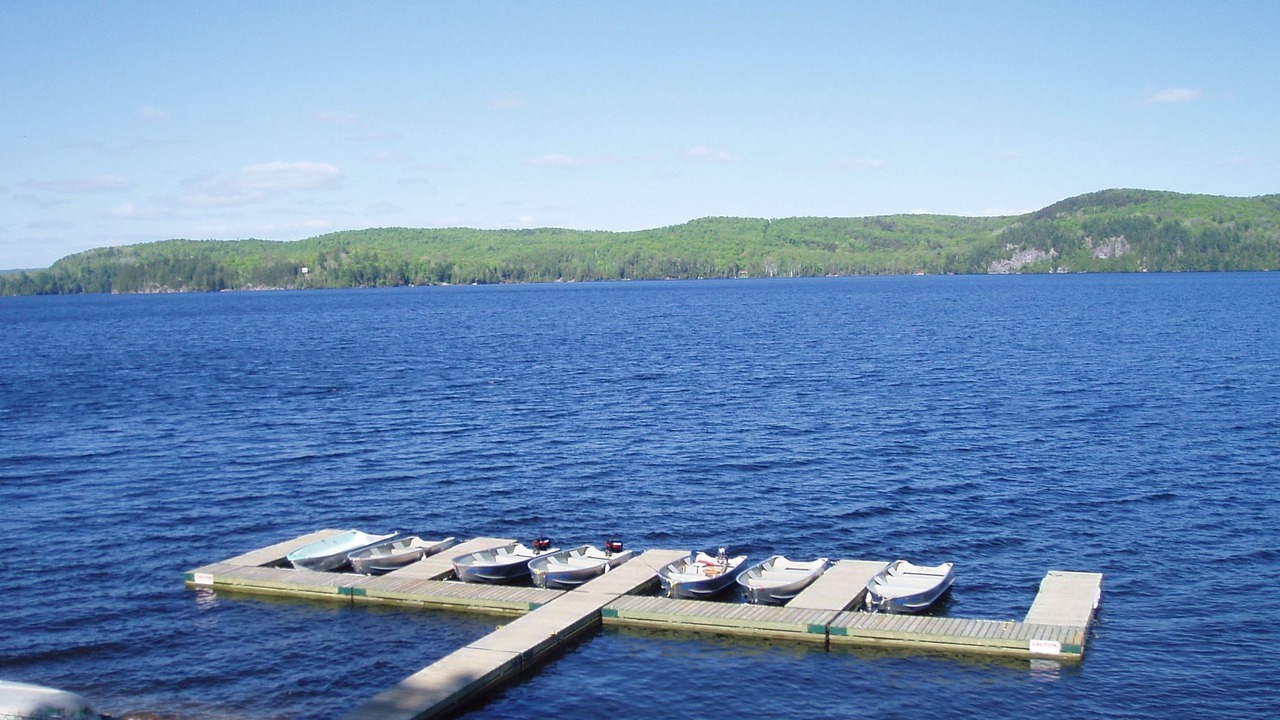 Photo of Outdoor in Harcourt