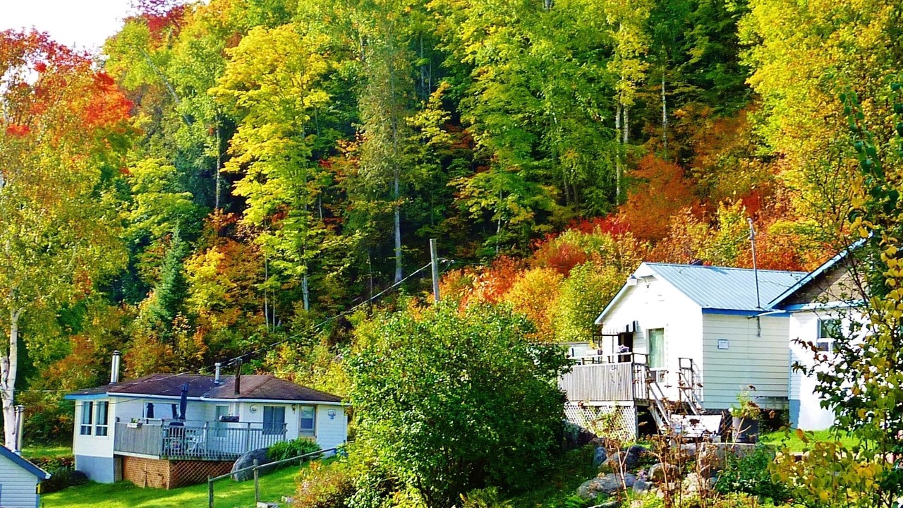 Photo of Buildings in Harcourt