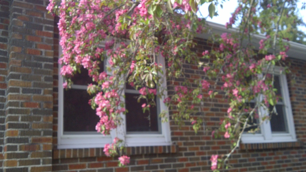 Photo of Outdoor in Orono