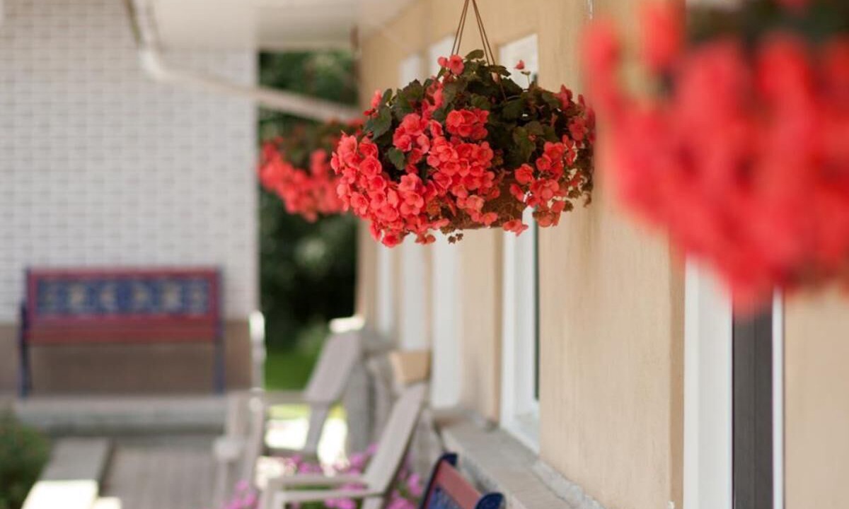 Photo of Patio Balcony in Lindsay
