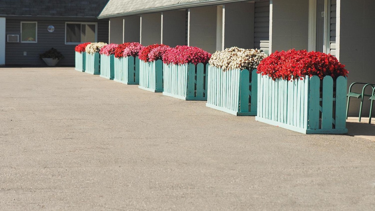 Photo of Outdoor in Algoma District