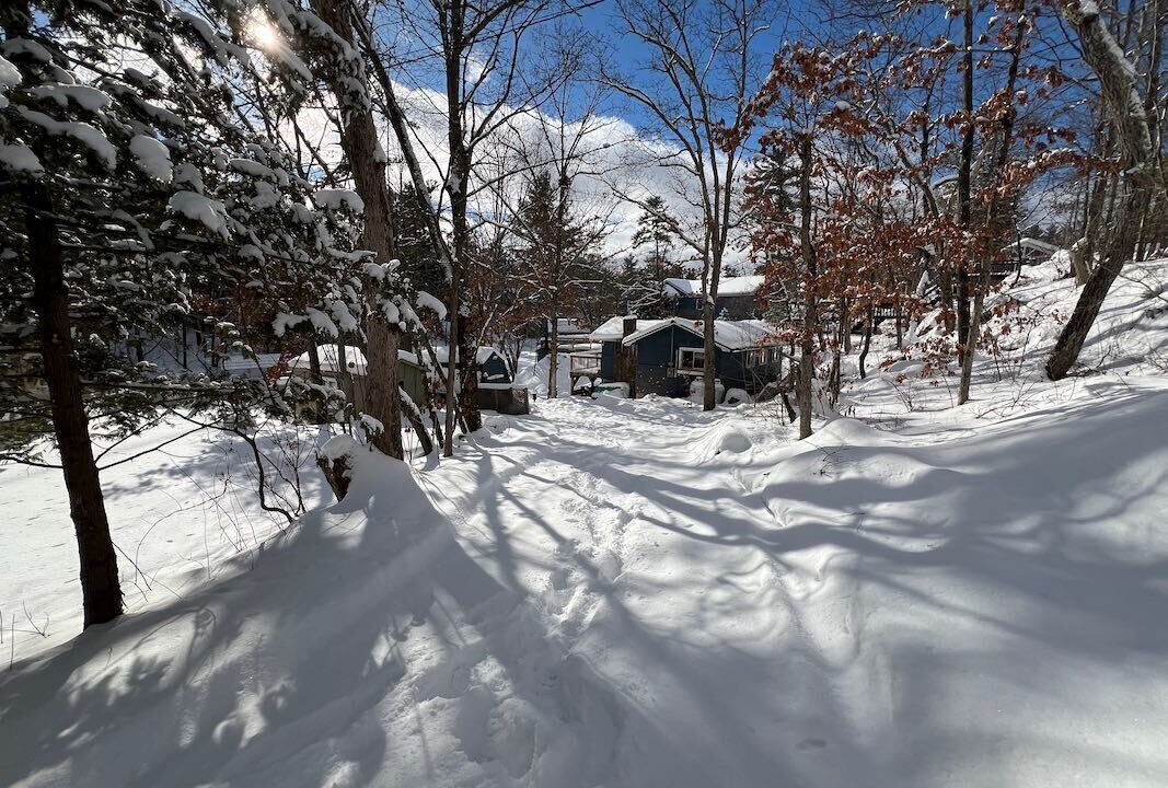 Photo of Outdoor in Selwyn
