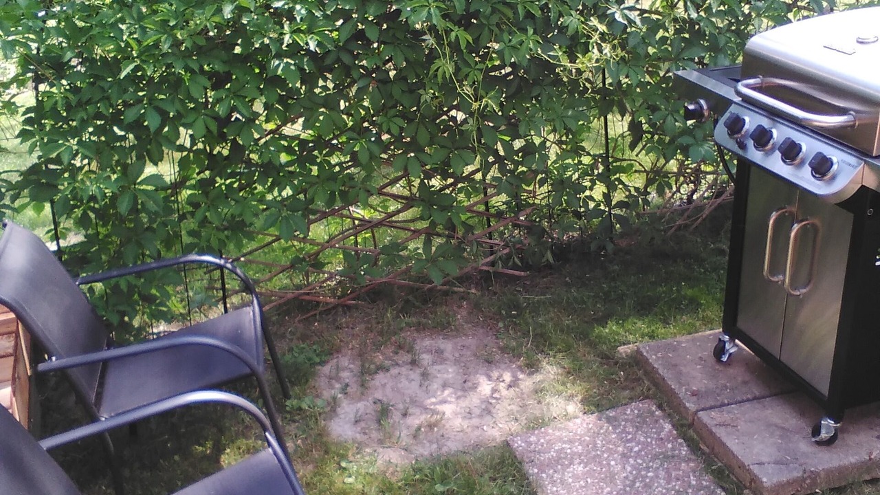 Photo of Outdoor in French River