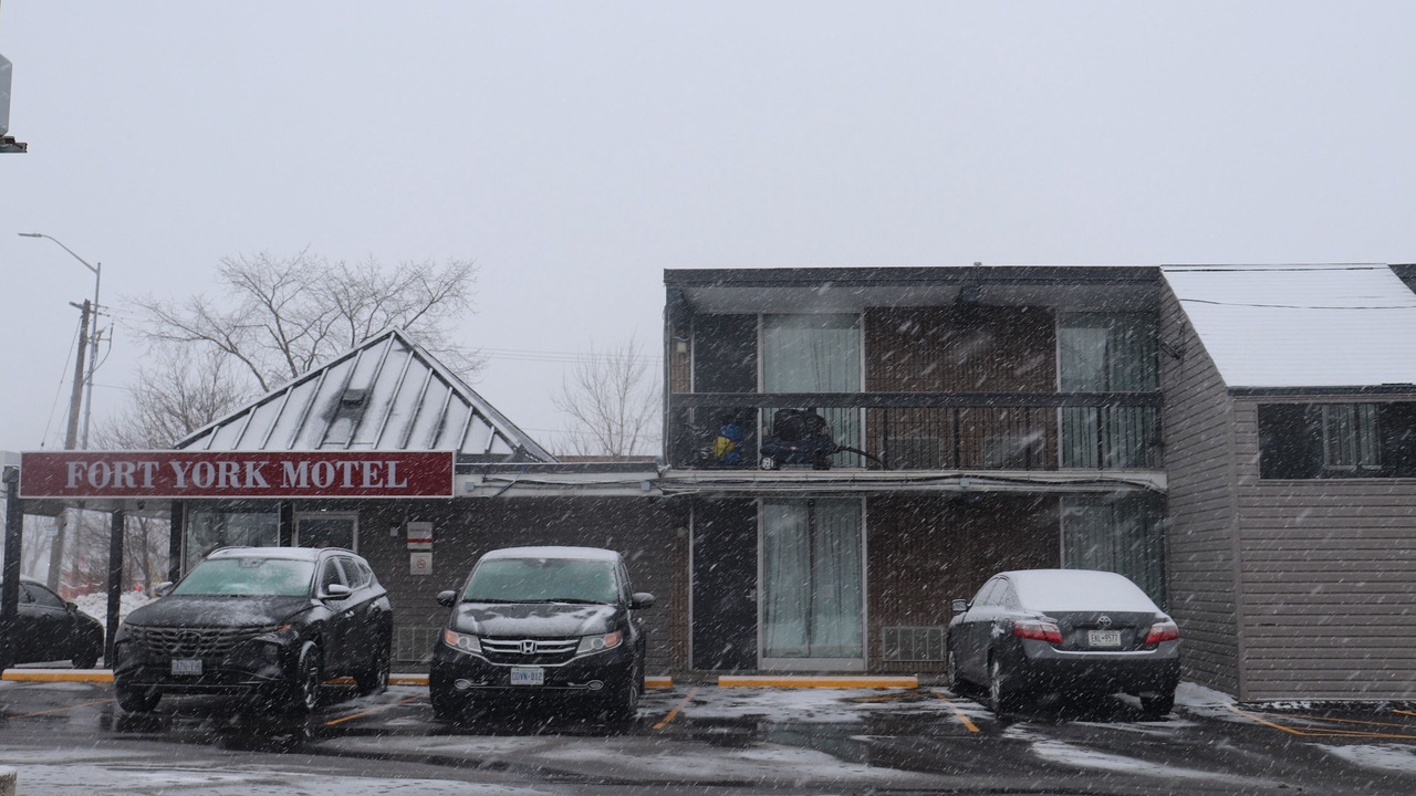 Photo of Outdoor in Mississauga