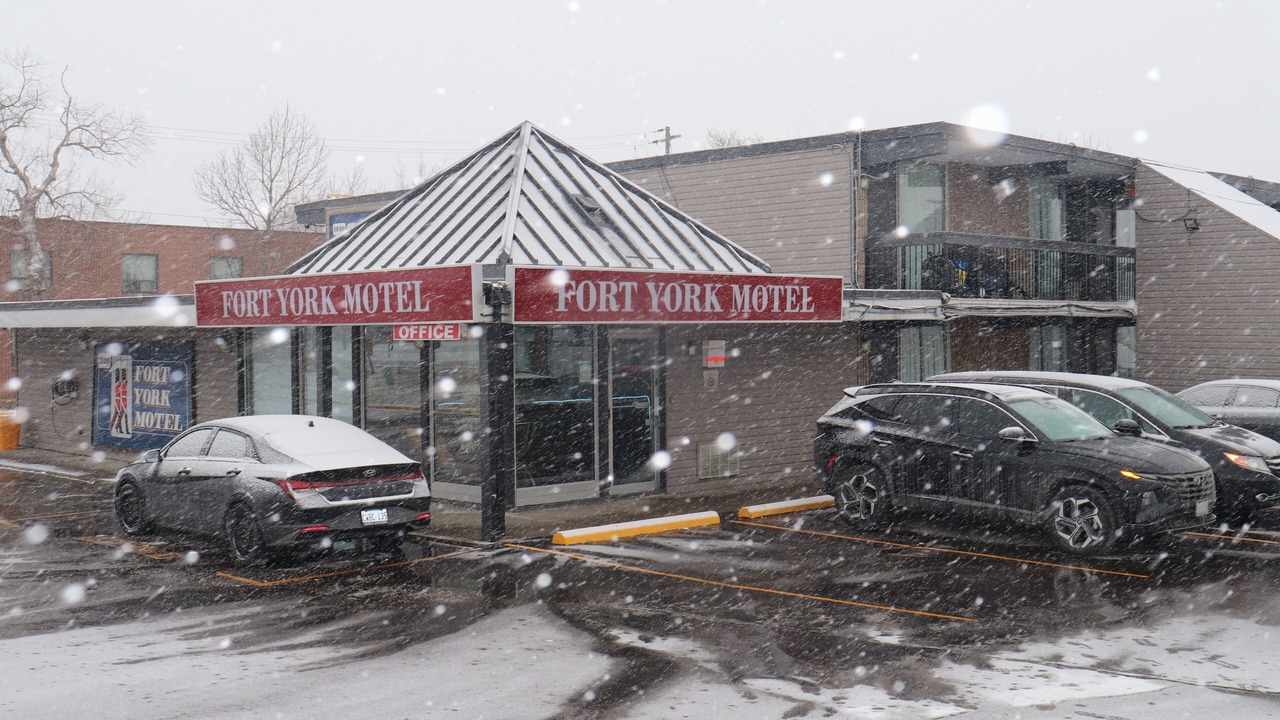 Photo of Outdoor in Mississauga