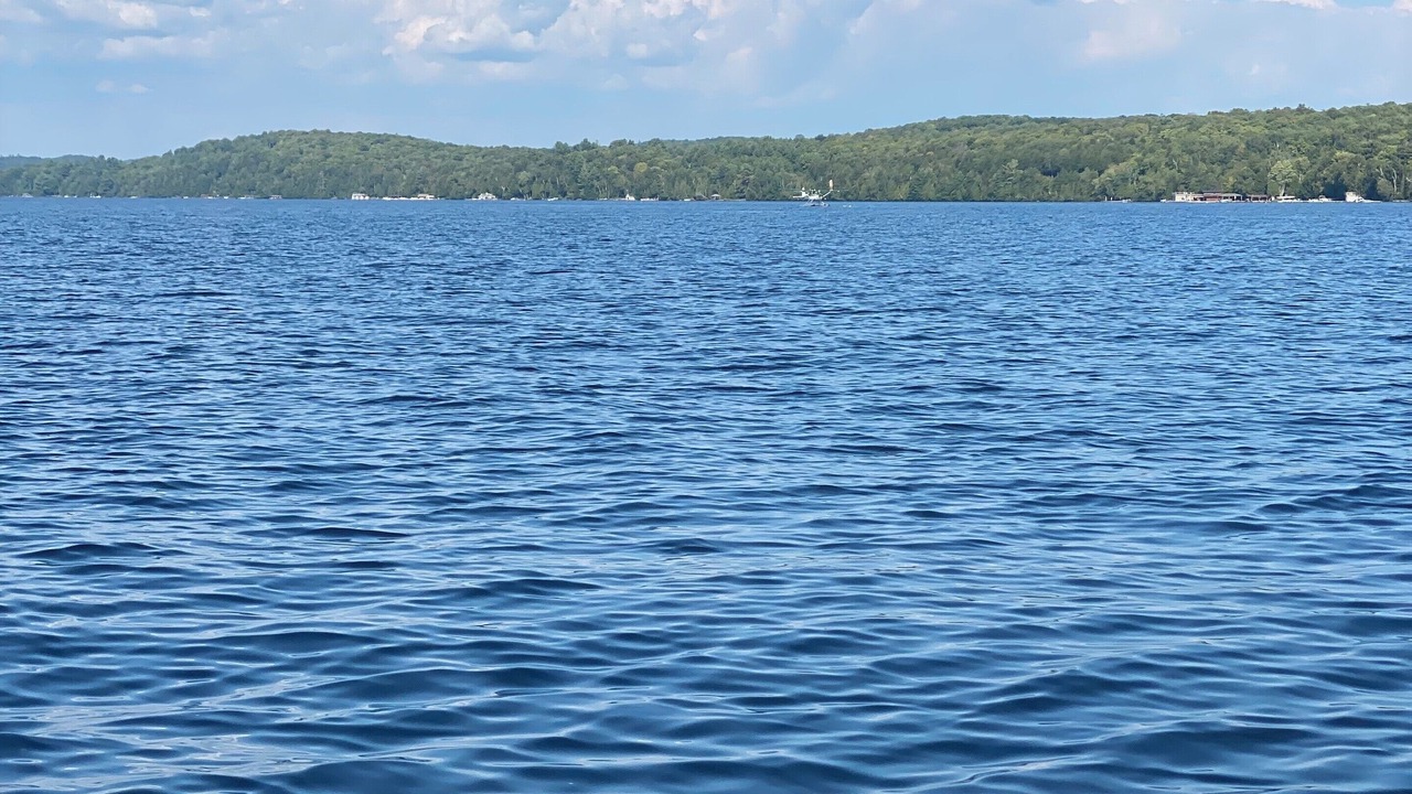 Photo of Others in Baysville