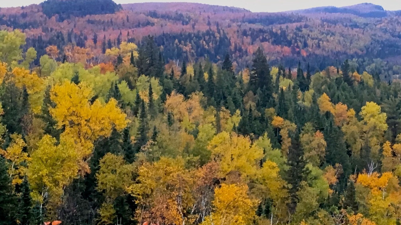 Photo of Others in Finland
