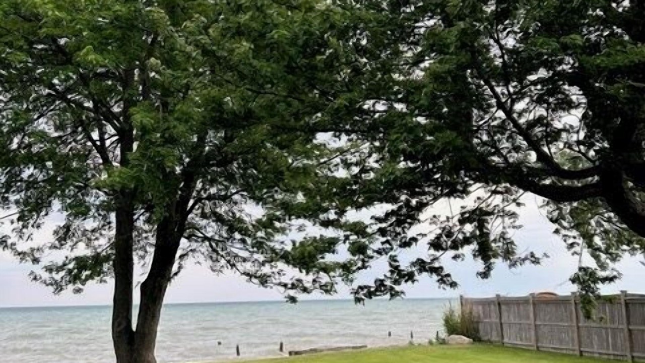 Photo of Outdoor in Harwich