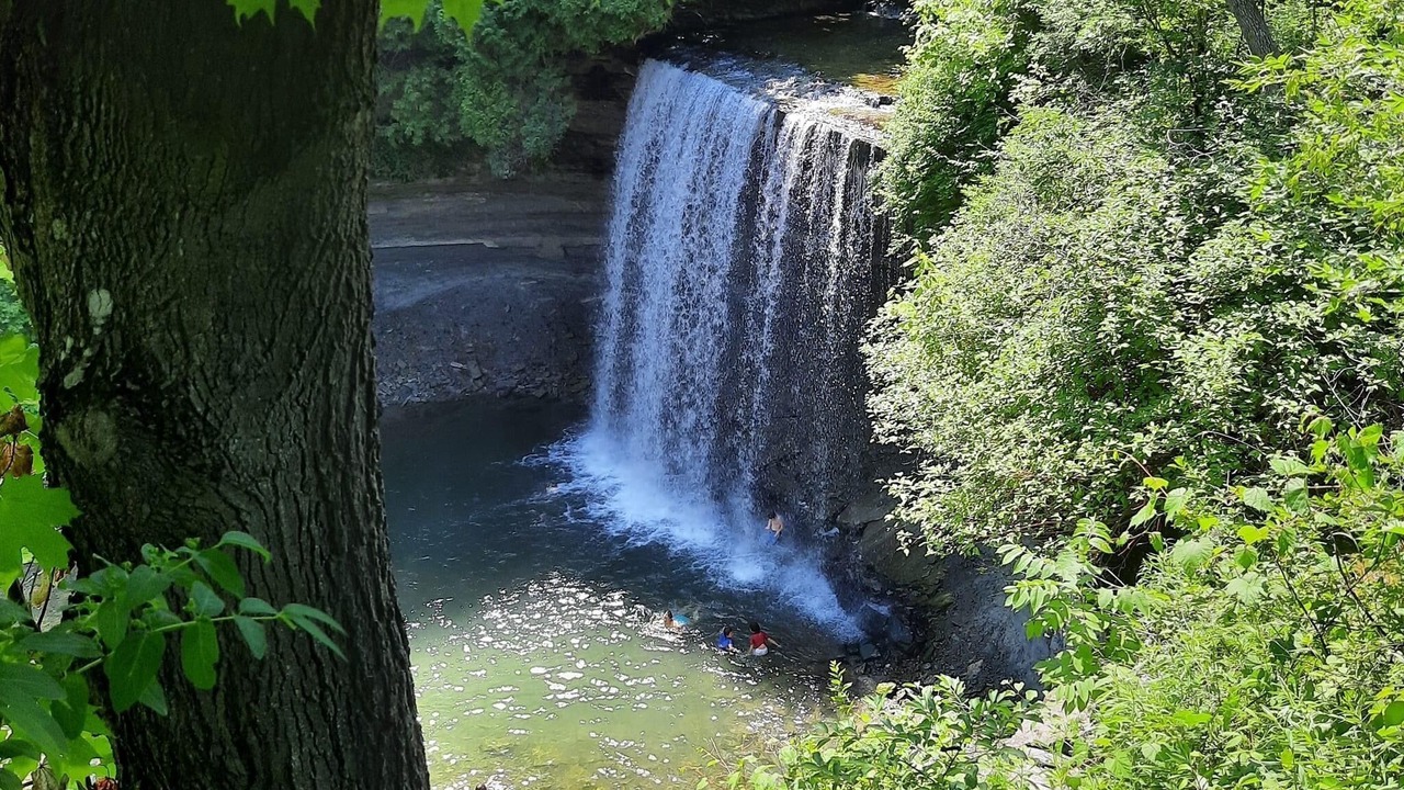 Photo of Others in Manitoulin District