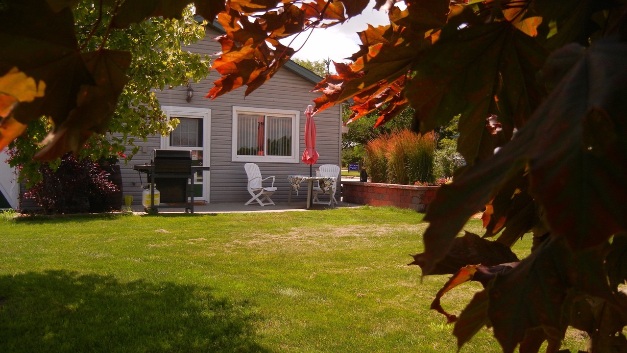 Photo of Patio Balcony in Leamington
