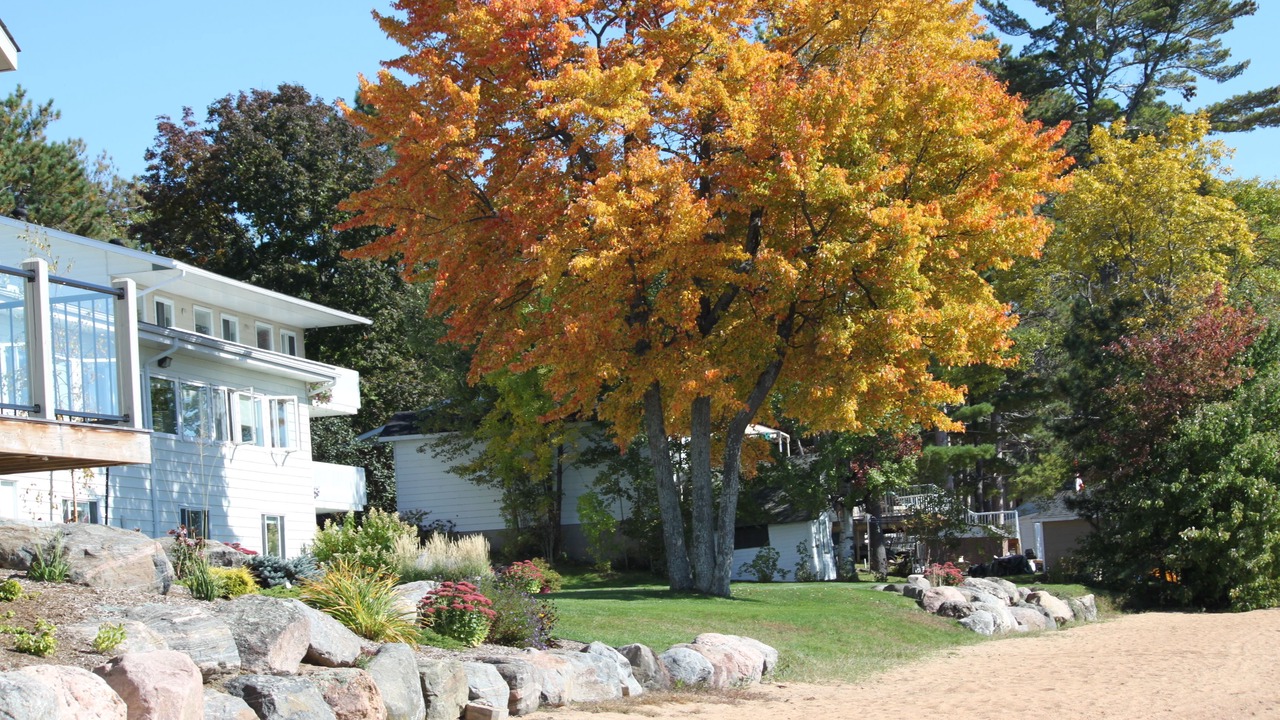 Photo of Outdoor in Golden Lake