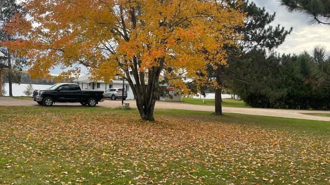 Photo of Outdoor in Papineau-Cameron