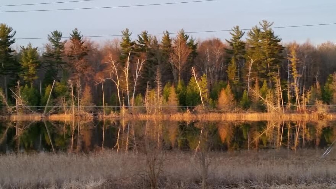 Photo of Outdoor in Port Franks