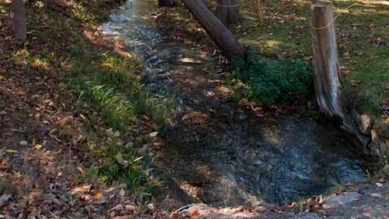 Photo of Outdoor in Port Elgin