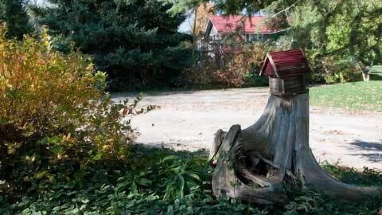 Photo of Outdoor in Port Elgin