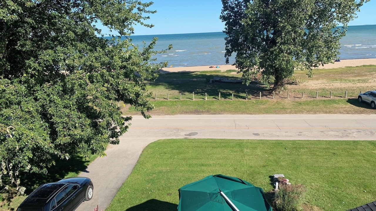 Photo of Others in Turkey Point