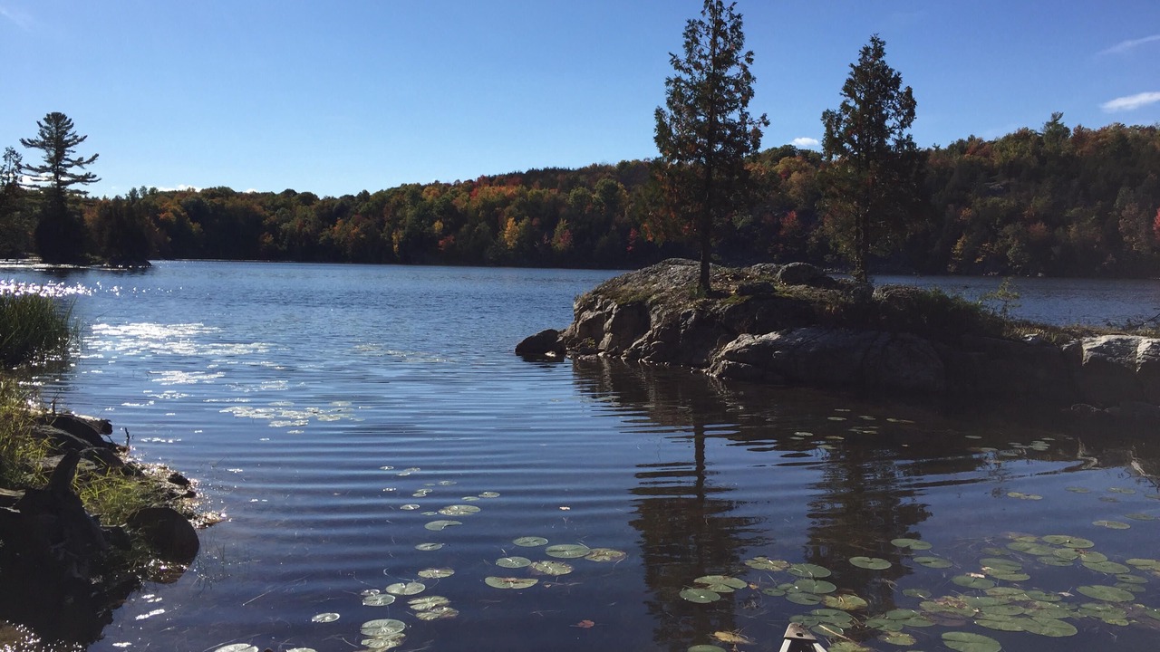 Photo of Others in Frontenac