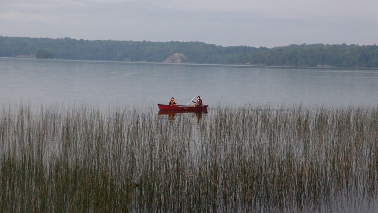 Photo of Others in Algoma District