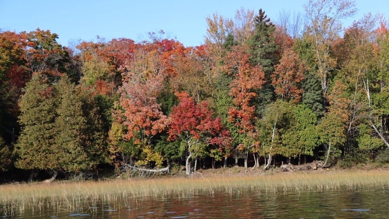 Photo of Others in Algoma District