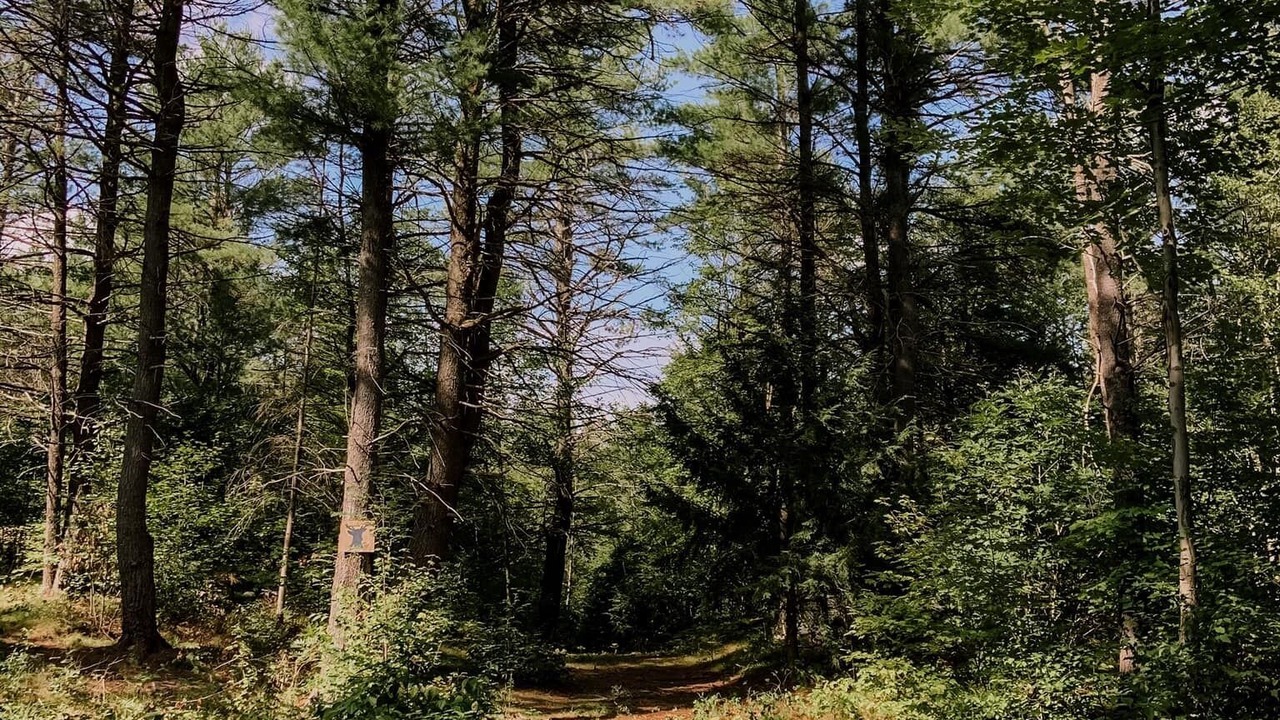 Photo of Outdoor in Addington Highlands