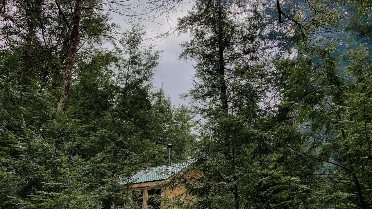 Photo of Others in Addington Highlands