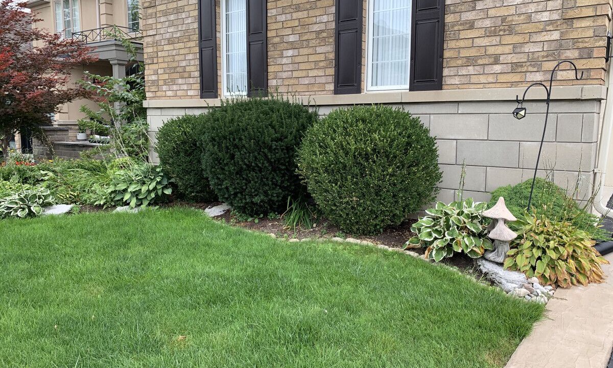 Photo of Outdoor in Brampton